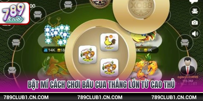 Bí quyết ghi nhớ mặt xúc xắc và bắt vị bầu cua ăn trọn thưởng 
